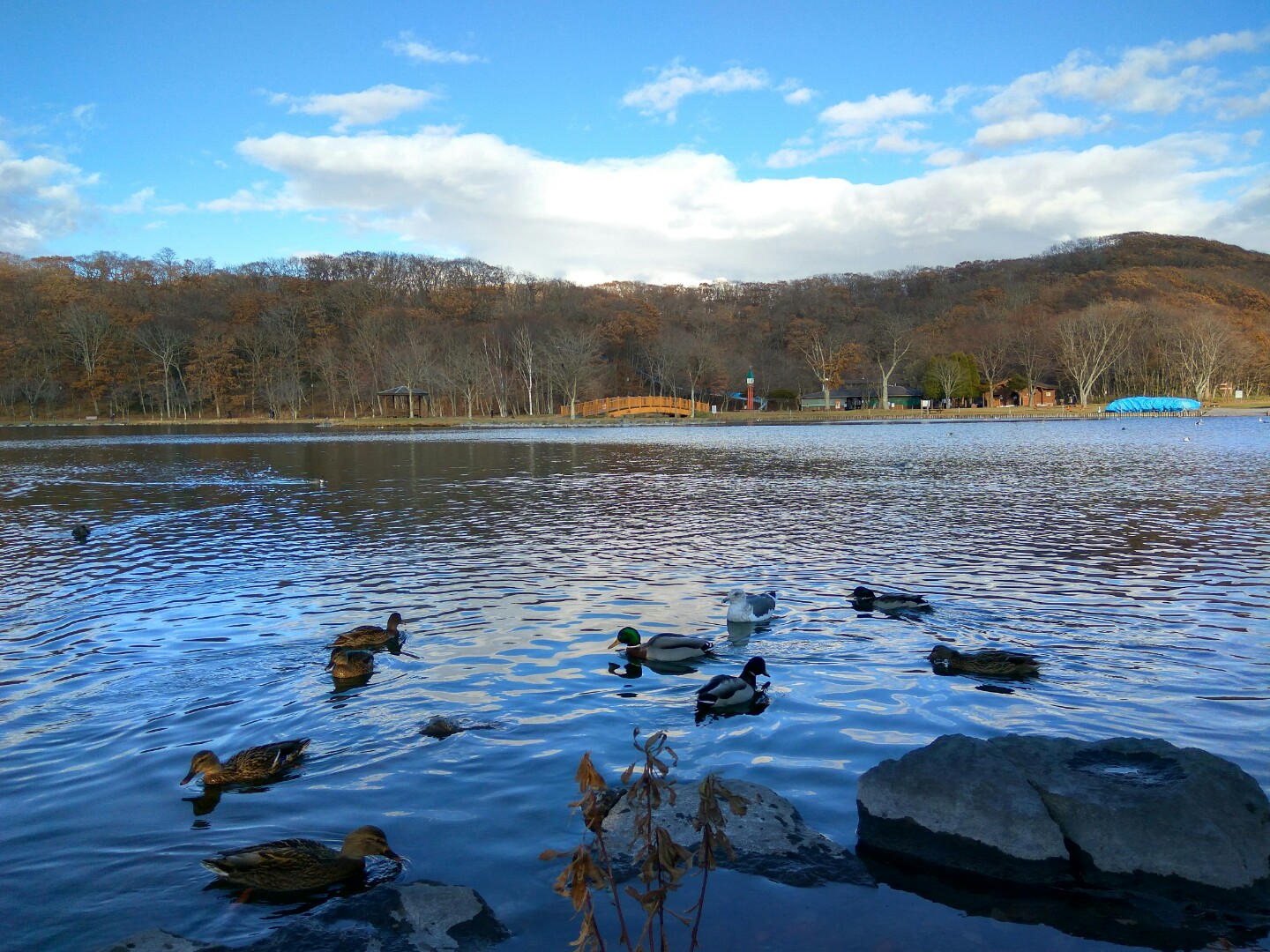 IMG_20161113_144601_HDR