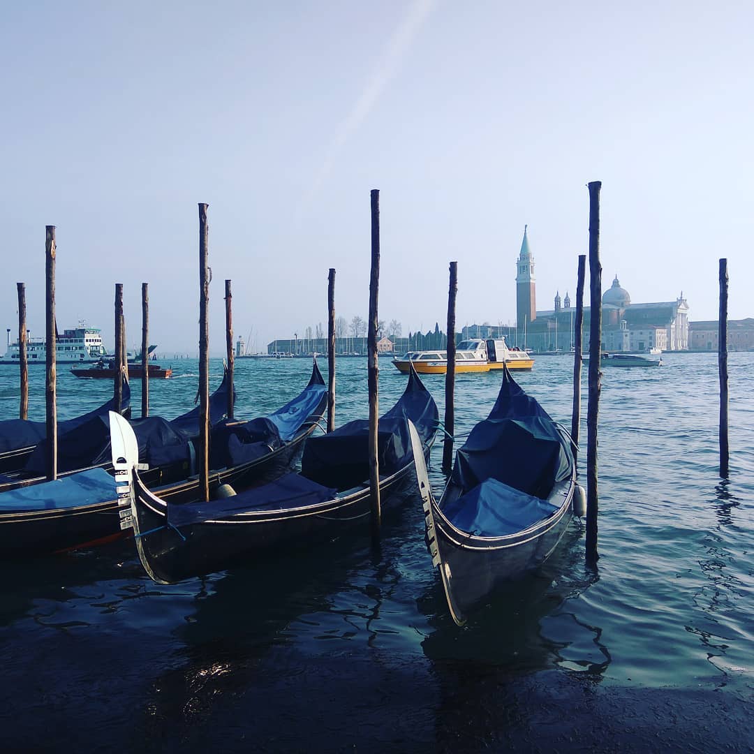 52351671_552686131896388_8328791808046150571_n